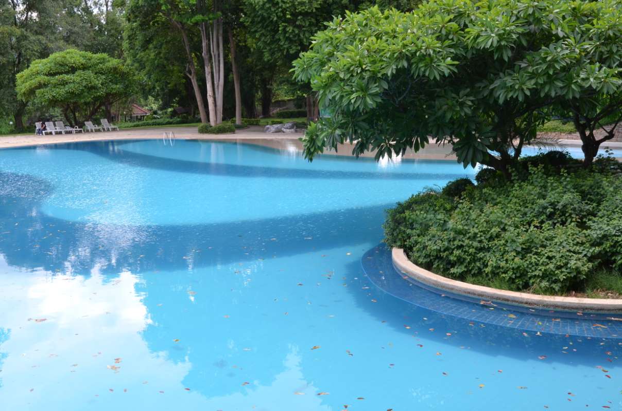 Pool service in Albuquerque, New Mexico — close-up of clear blue pool water in the high-desert pool service market