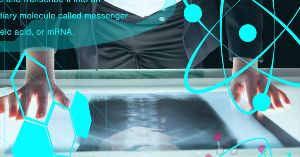 How to Use Budget Variance Reports Effectively