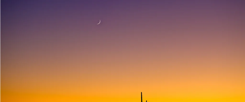 Financial Planning Tools for Pool Business Owners