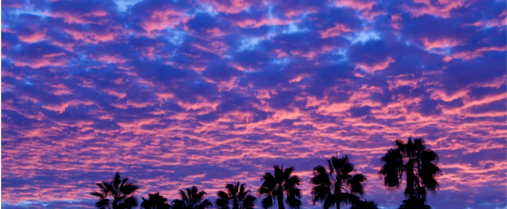 Seasonal Billing Strategies for Summer Months