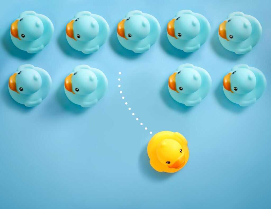 Why Going Cloud-based Helps Pool Pros Work Smarter