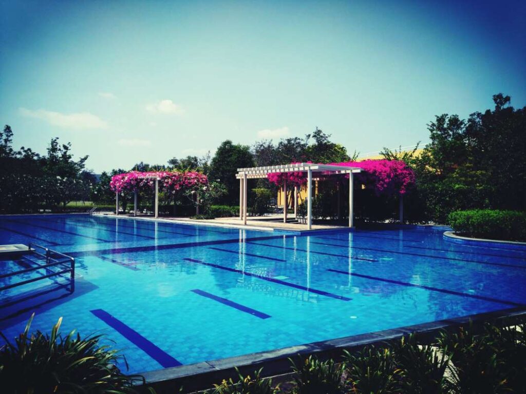 Paperless Invoicing: A Game Changer for the Pool Service Industry