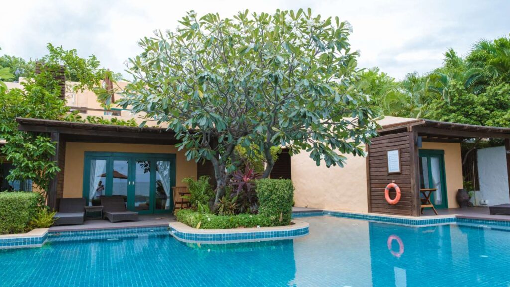 Update Service Plans: Tips for Managing Pool Services During Slow Seasons